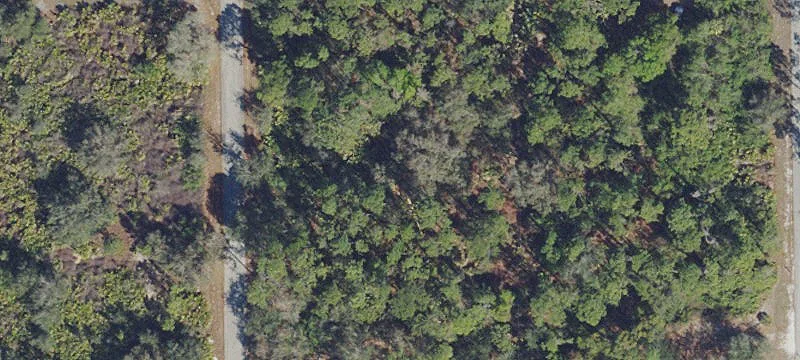 Residential Homesite in Alva