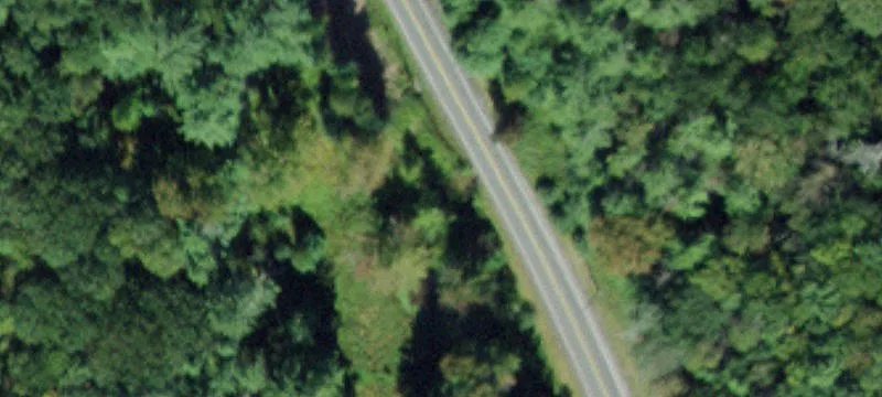 Wooded Residential Building Lot