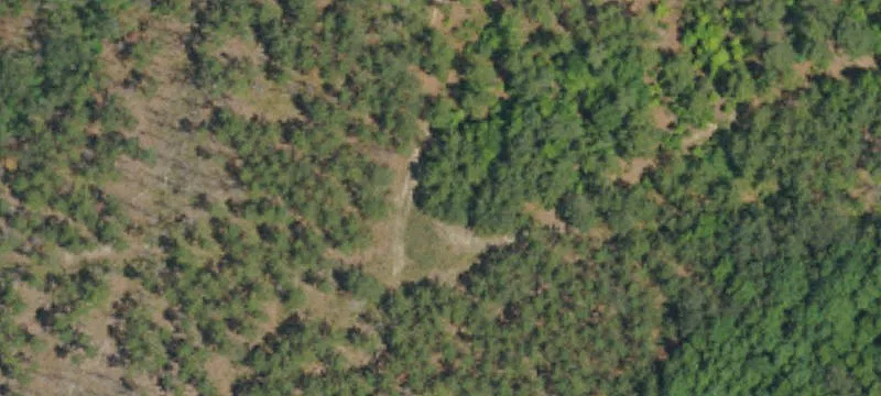 Equestrian-Friendly Gated Estate Land