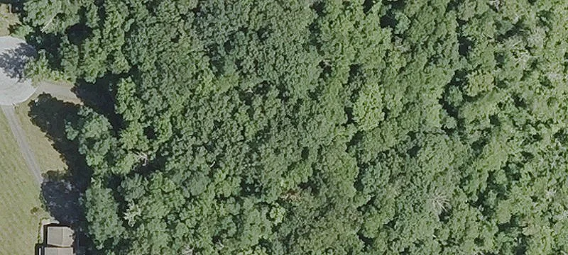 Approved Building Lot with Shared Driveway