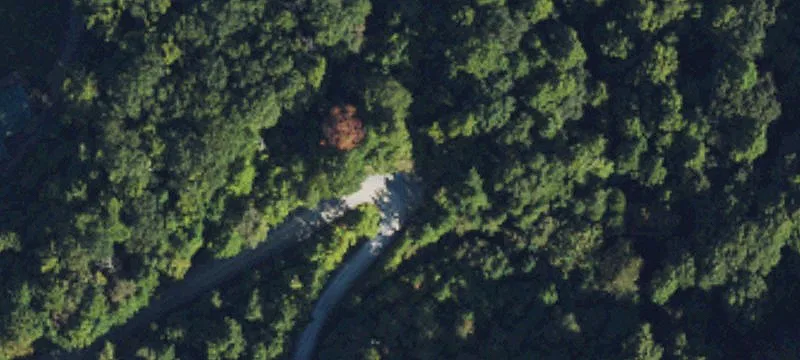 Gated Community Home Lot