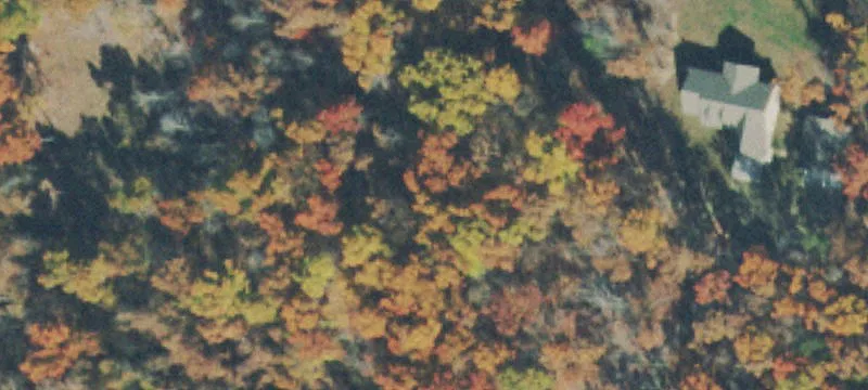 Wooded Residential Land Lot