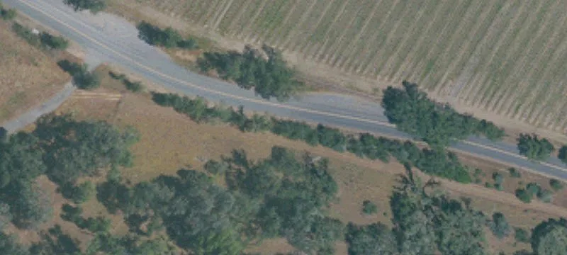 Estate Vineyard with Russian River Access