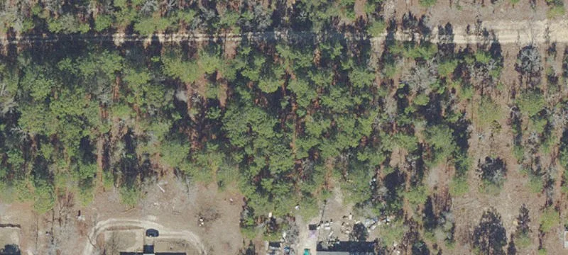 Partially-Cleared Residential Lot
