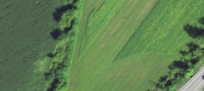Partially Cleared Vacant Land Parcel