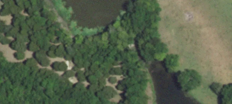 Fully Fenced Equestrian Ranch