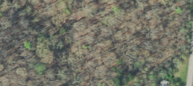 Unrestricted Land with Well & Septic