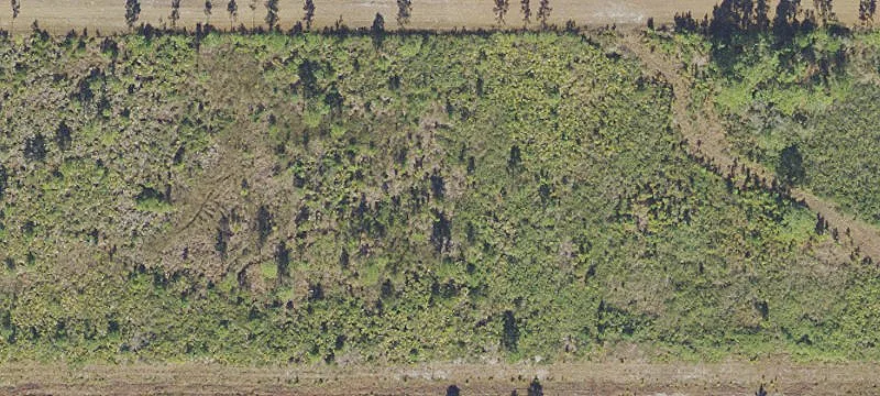 Vacant Lot in Gated Community