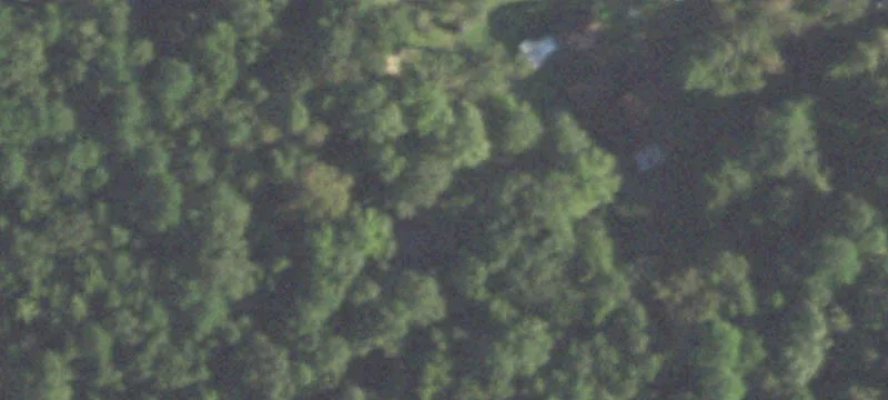 Wooded Residential Development Tract