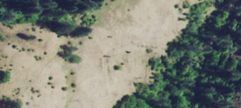 Working Ranch with Deeded Water