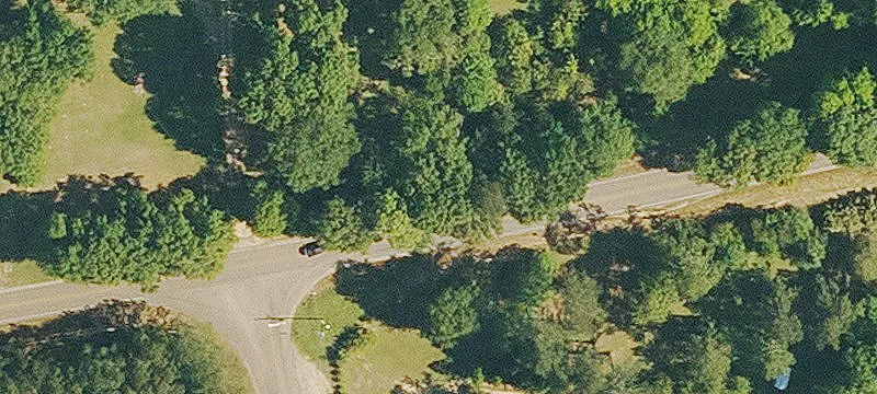 Recreational Hunting Land with Trails