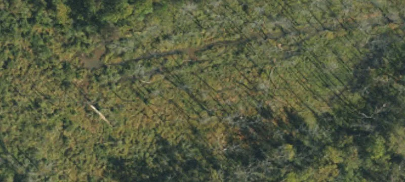 Wooded Cul-de-Sac Horse-Friendly Land