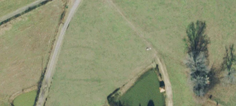 Hunting Land with Utilities