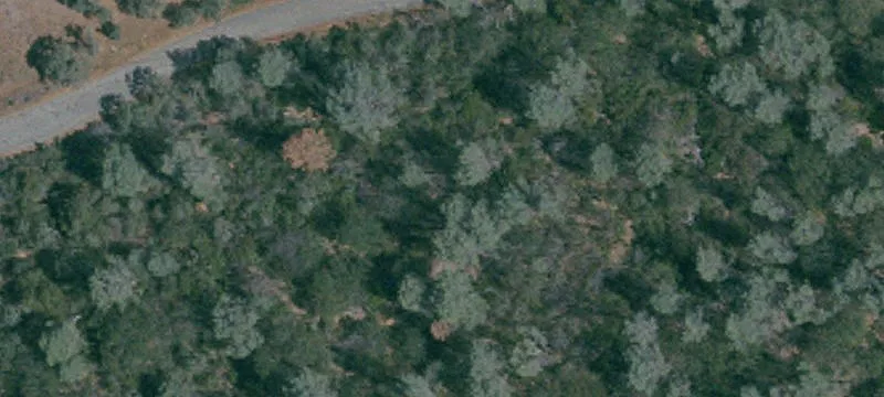 Rural Land Parcel with Livestock Paddocks