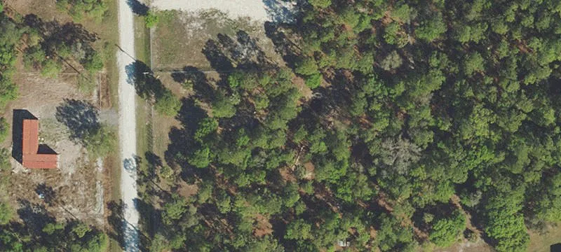 Fenced Buildable Agricultural Lot