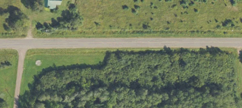 Recreational Farmland with Forest