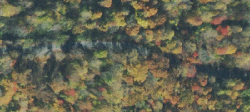 Recreational Land with Cabin