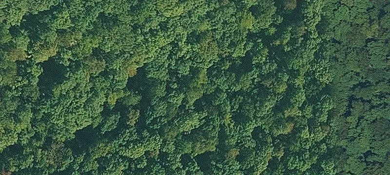 Recreational Hunting & Farmland Tract