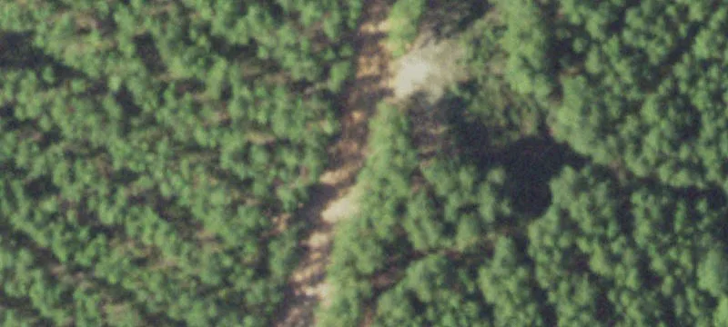 Unrestricted Wooded Homesite Land