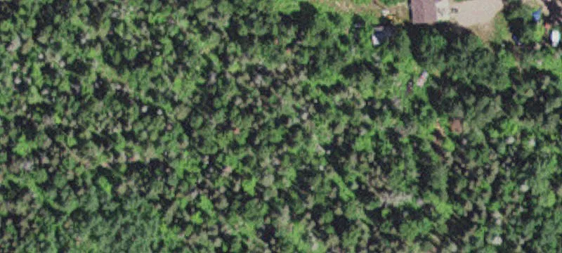 Lakefront Wilderness Land Tract