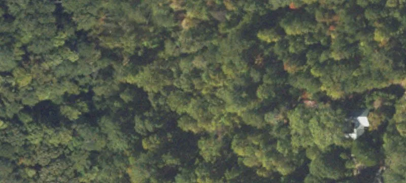 Wooded Residential Development Land