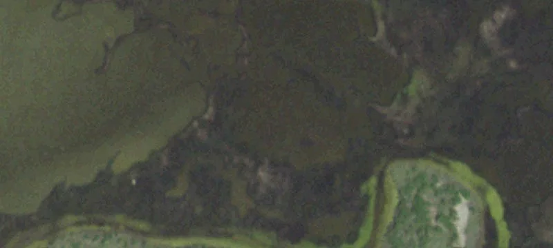 Beachfront Homesite Development Land
