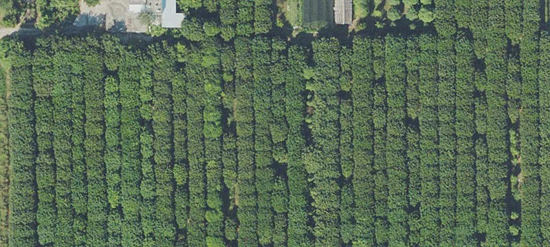 Environmentally Protected Land Parcel