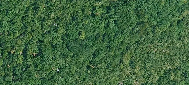 Riverfront Agricultural Land Tract