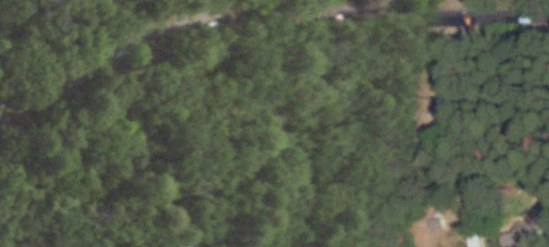Wooded Residential Lot