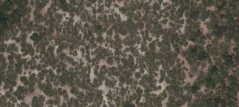 Hill Country Hunting Land
