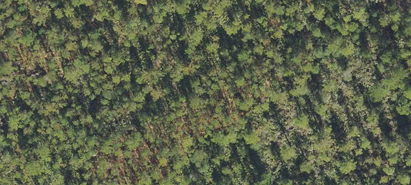 Non-Ag Development Land Acreage