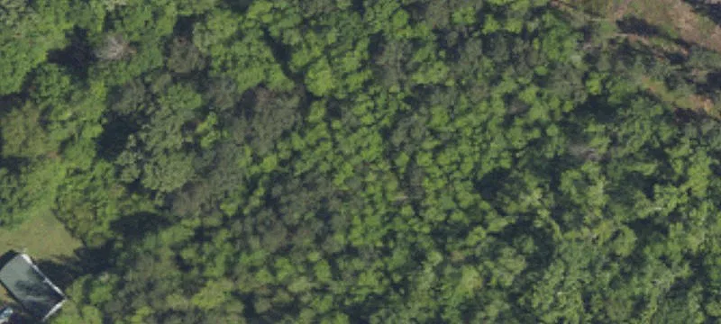 Wooded Residential Development Lot