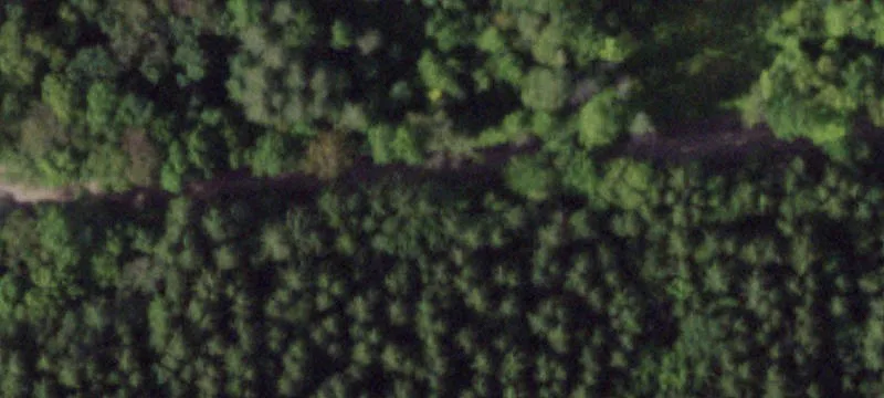 Wooded Recreation Land Parcel