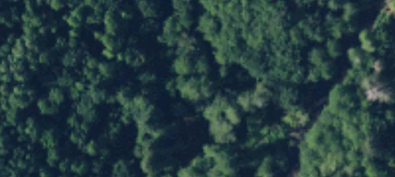 Specialty Property with Road Access