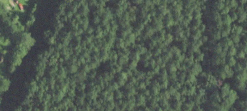 Wooded Residential Land Parcel