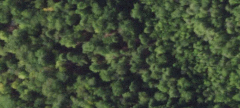 Recreational Hunting Land Tract