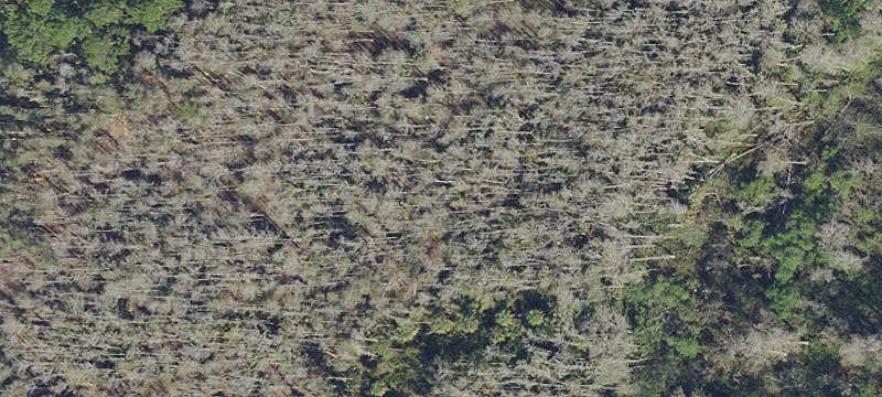 AG-2 Agricultural Land