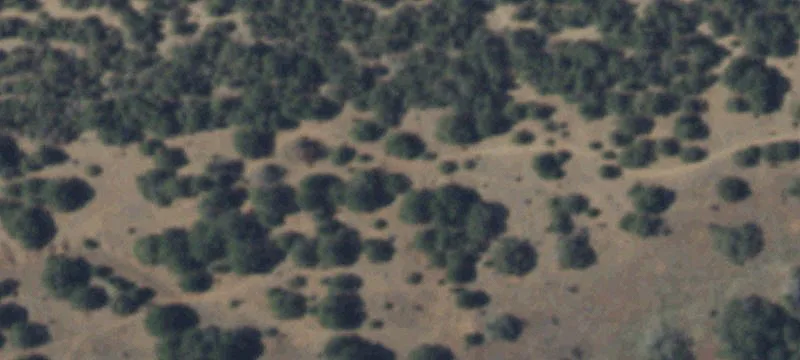 Undeveloped Land with Scenic Views