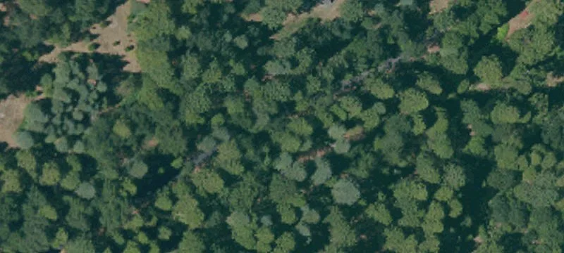 Natural Recreation and Homesite Land