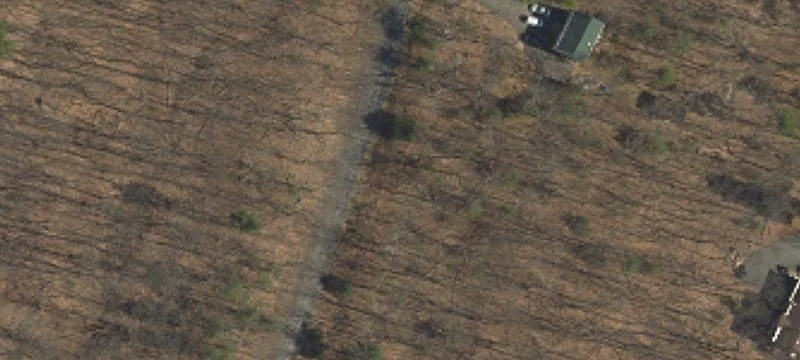 Wooded Corner Home Lot