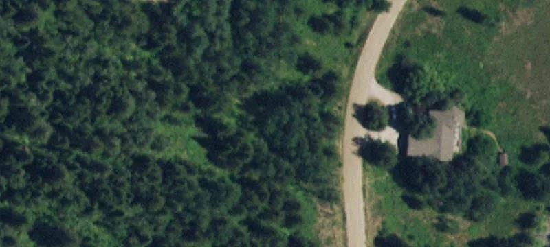 Wooded Homesite with Meadow Pockets