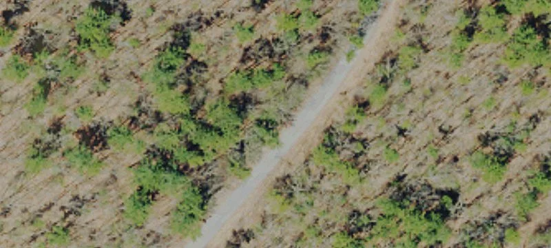 Residential Buildable Lot