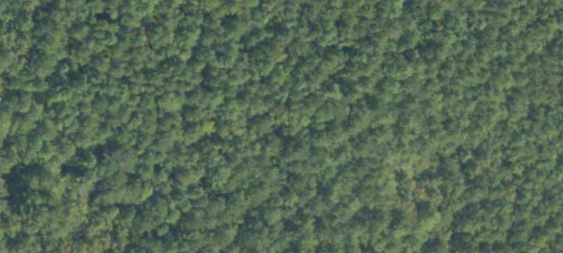 Wooded Residential Acreage with Road Frontage