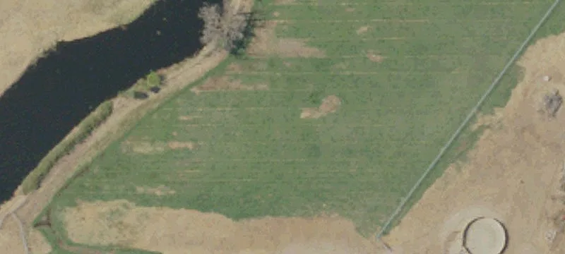 Equestrian Ranch with Multiple Barns