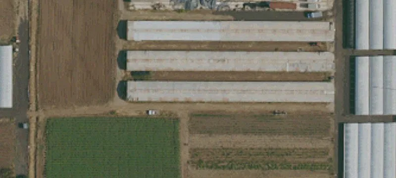 Horse Property Development Land