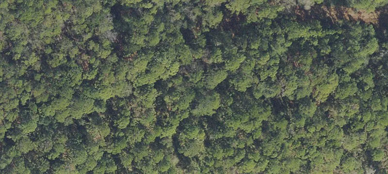 Wooded Waterfront Community Lot