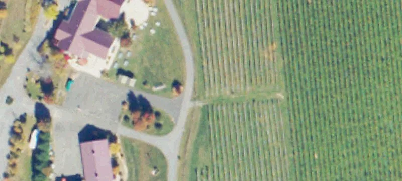 Vineyard and Winery Property