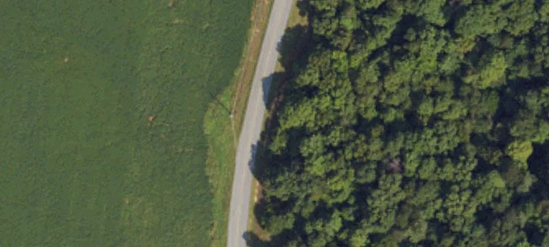 Wooded Hunting Land Parcel