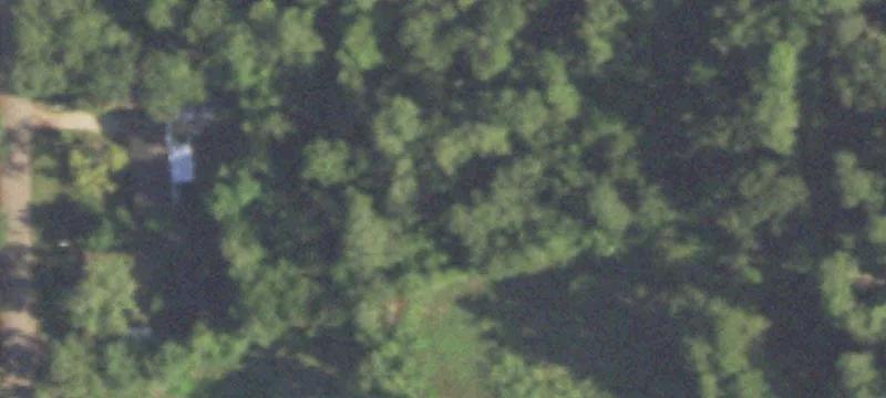Wooded Commercial Development Land