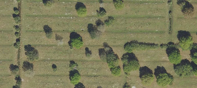 Agricultural Land with Road Frontage